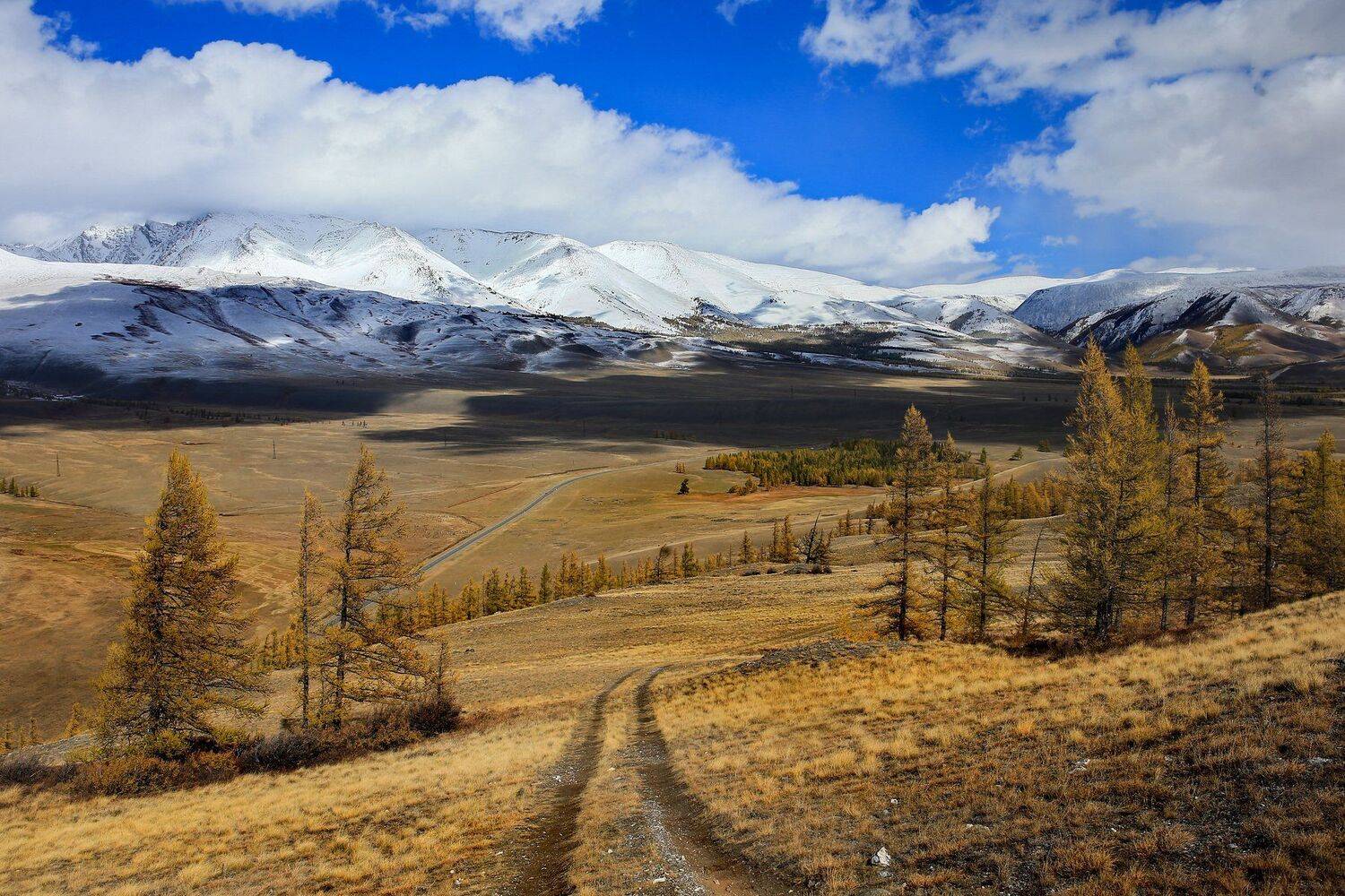 , Андрей Ершов