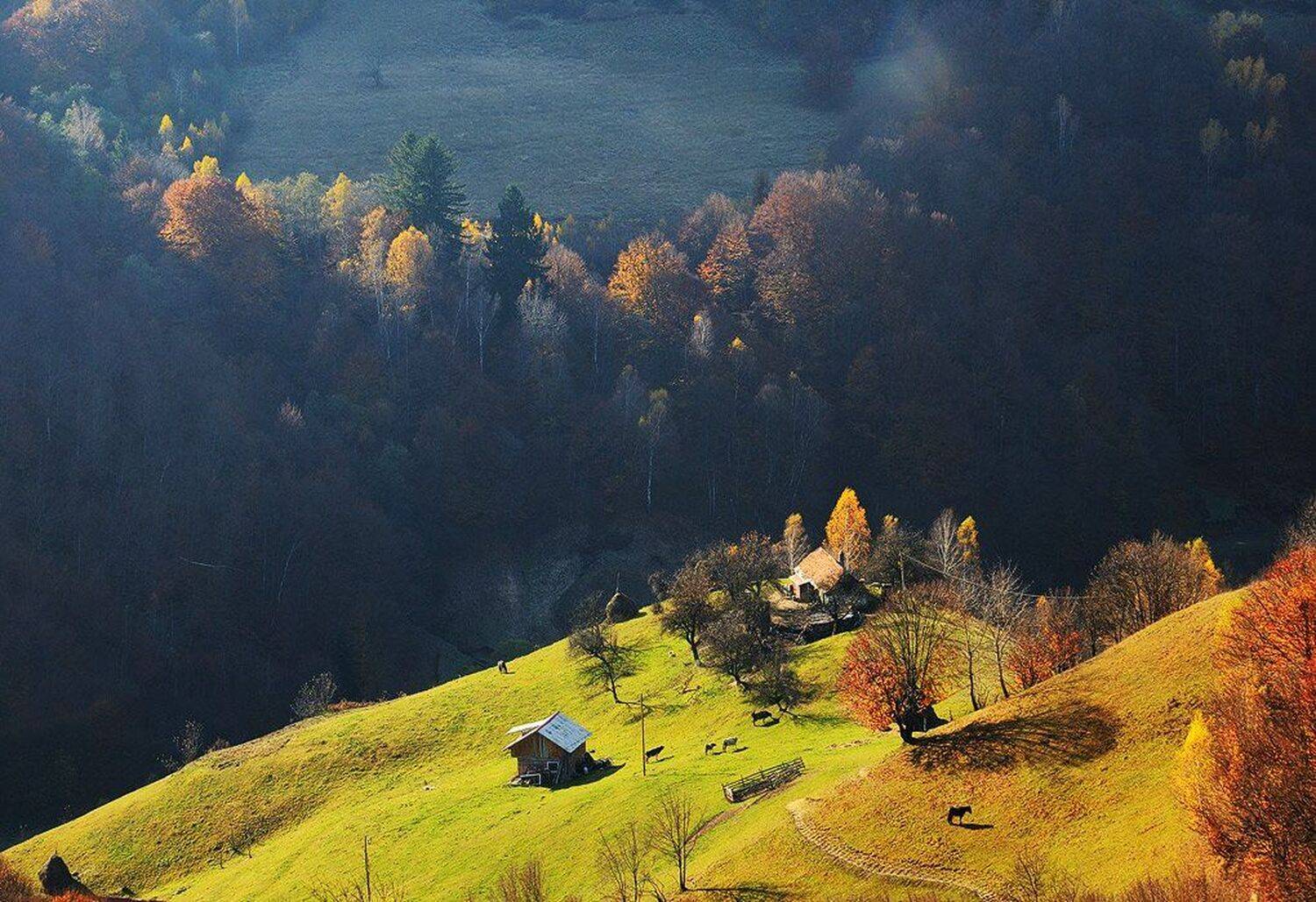 , Stefan Chirobocea