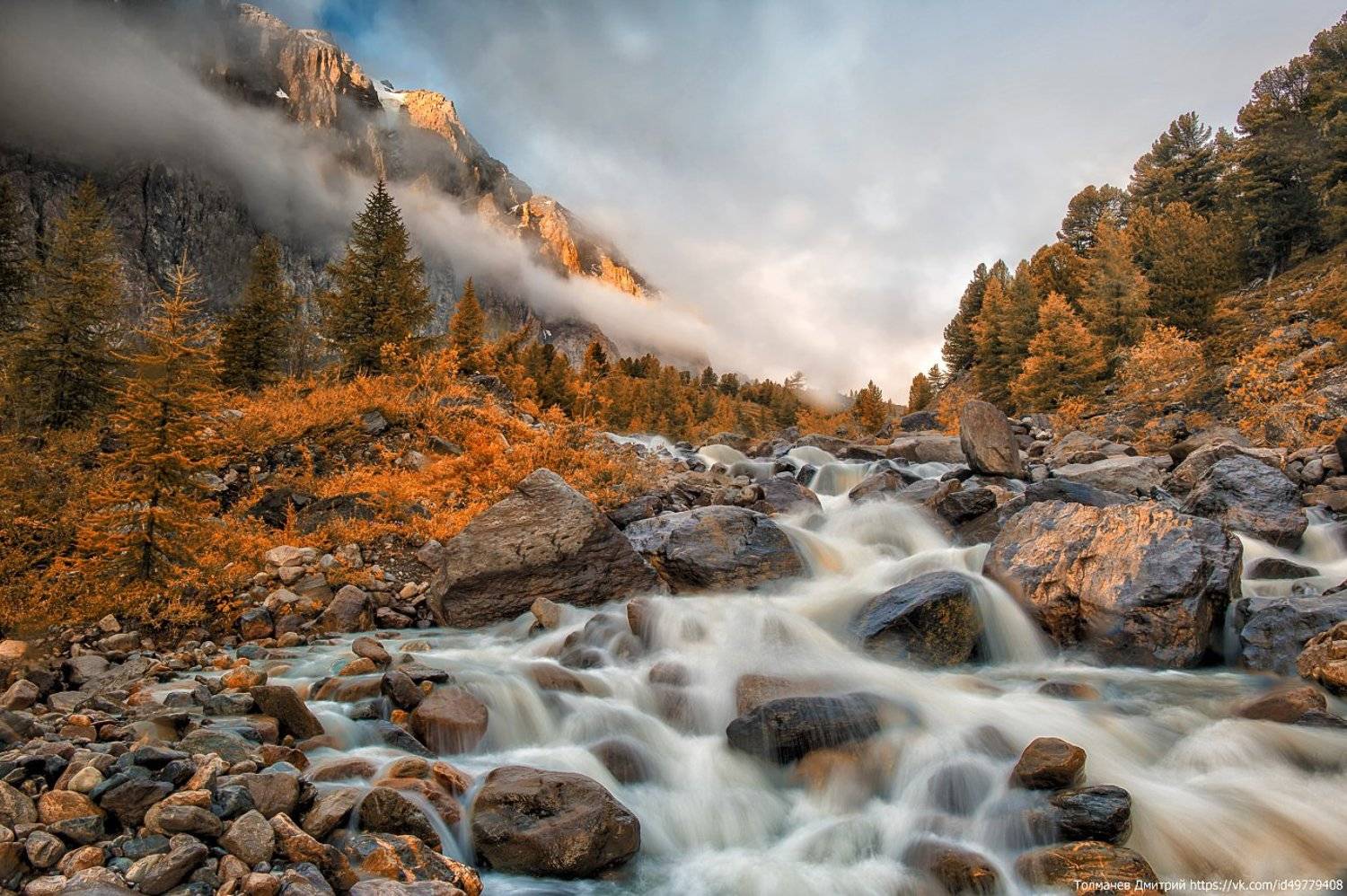 дикая природа россии,, Толмачев Дмитрий