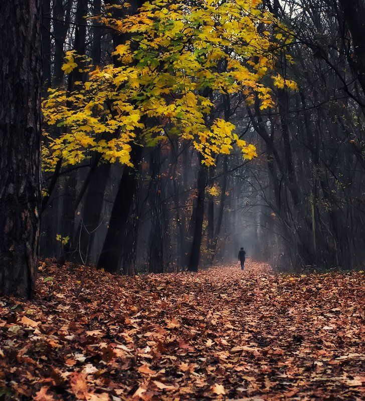 пастельные оттенки осени фото превью