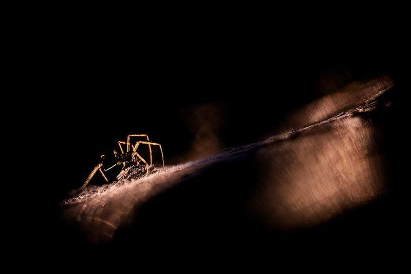 Фобия фото превью