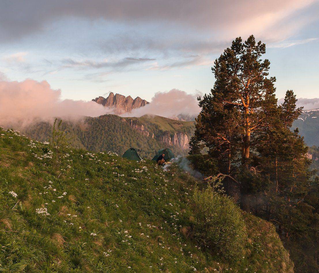 , Николай Мысливцев