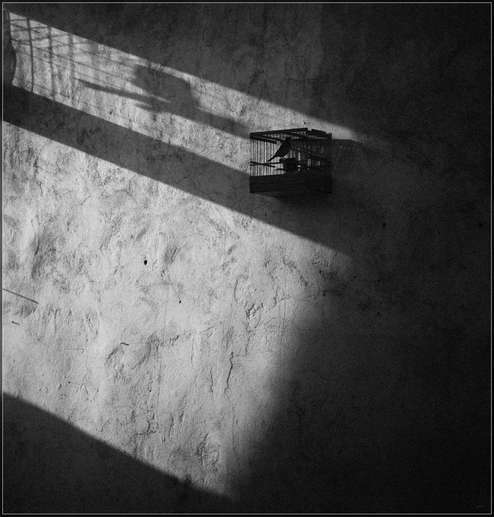 , Ильдар Садыков