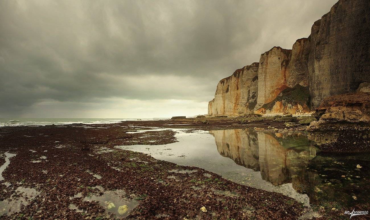 франция, Матвеев Николай