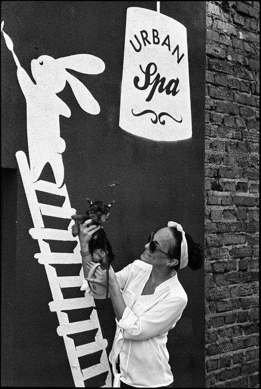 life *** фото превью