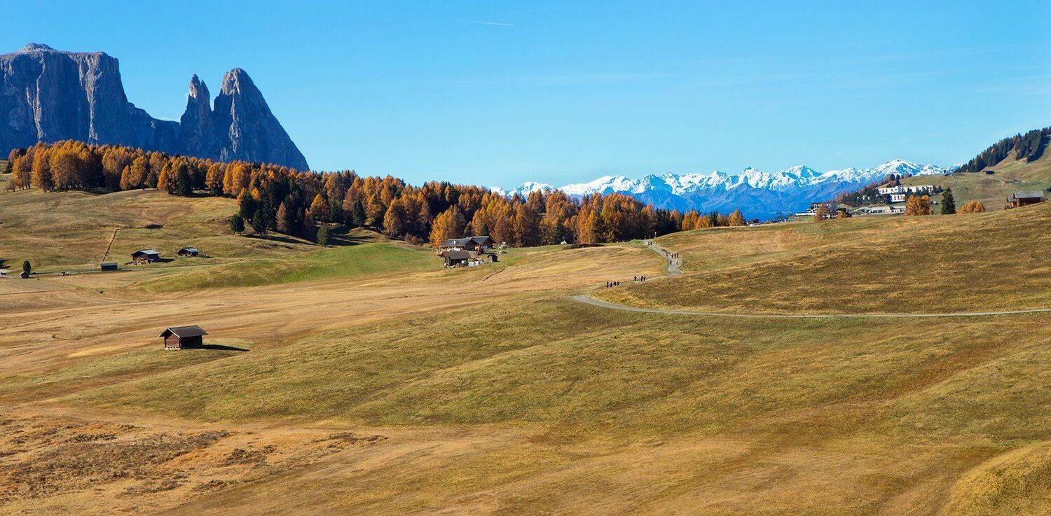 , Игорь Дубровский