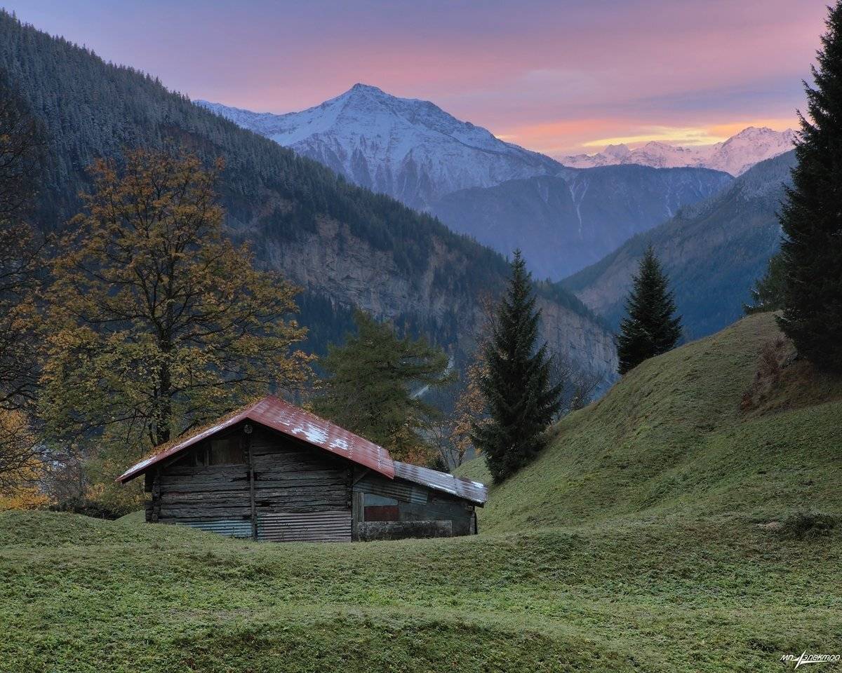 , Матвеев Николай