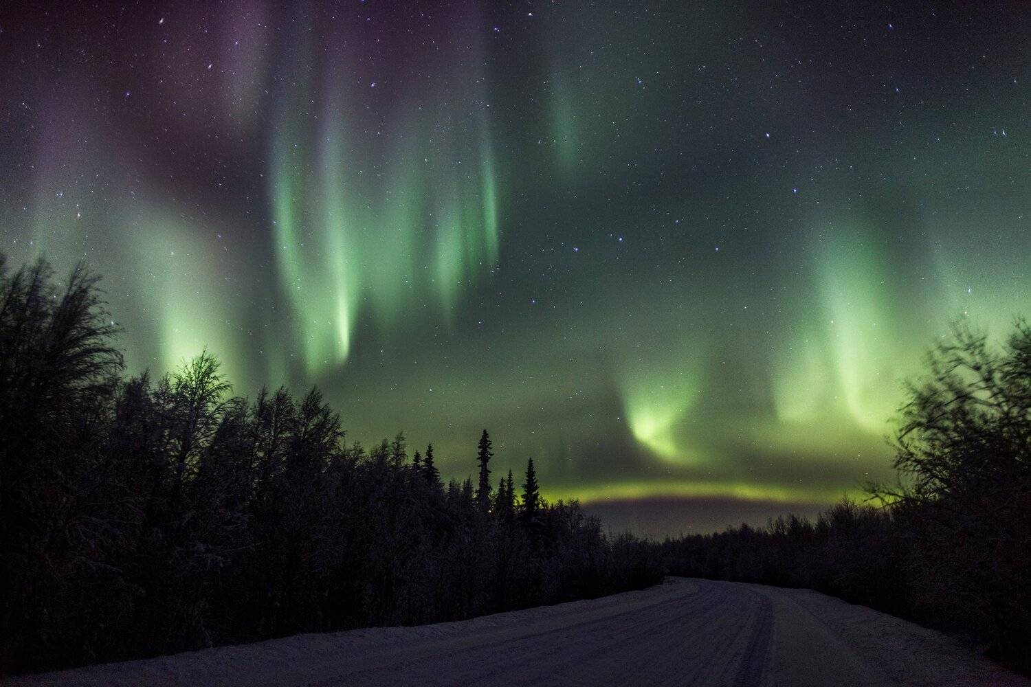 печора, полярное сияние,, Анатолий