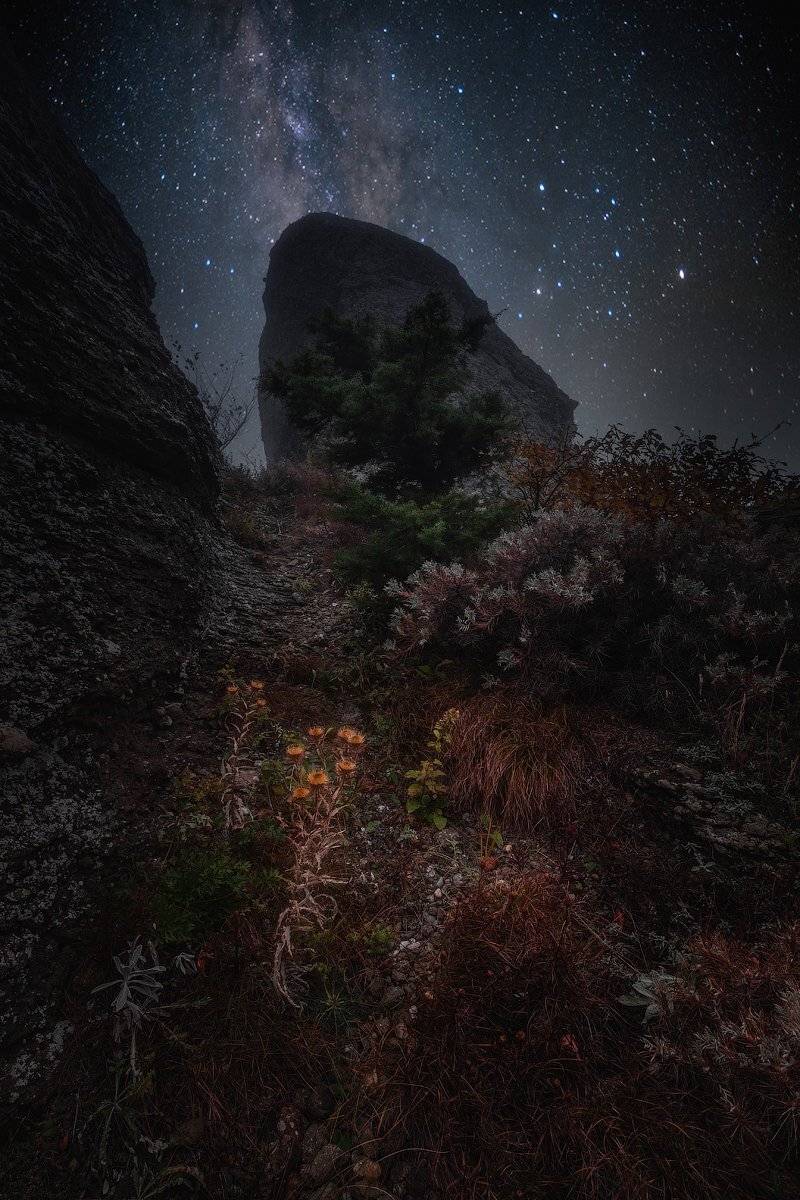 , Валерий Шейкин