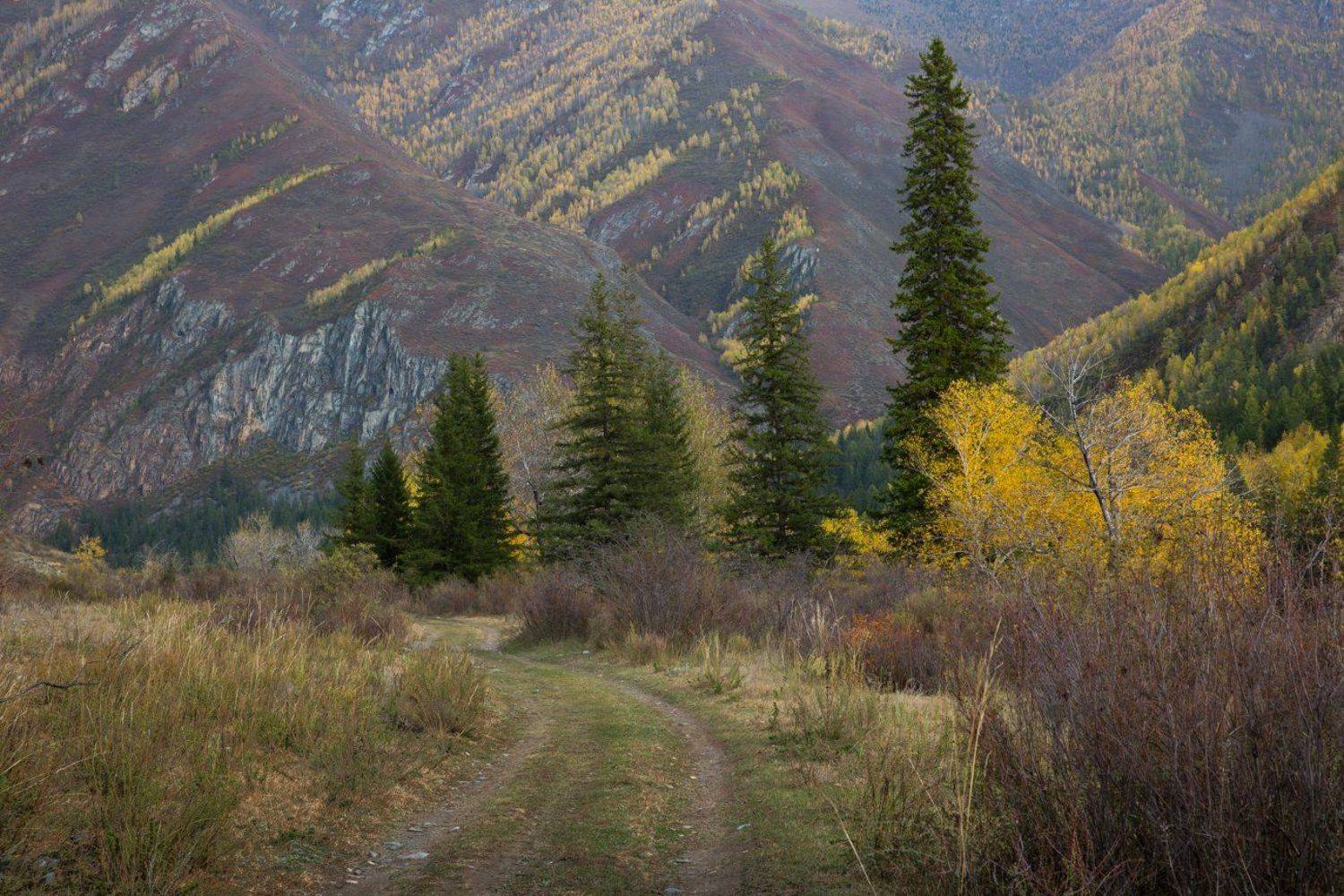 , Ирина Назарова