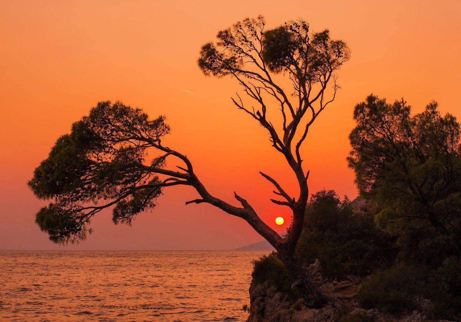 , Сергей Давыдов