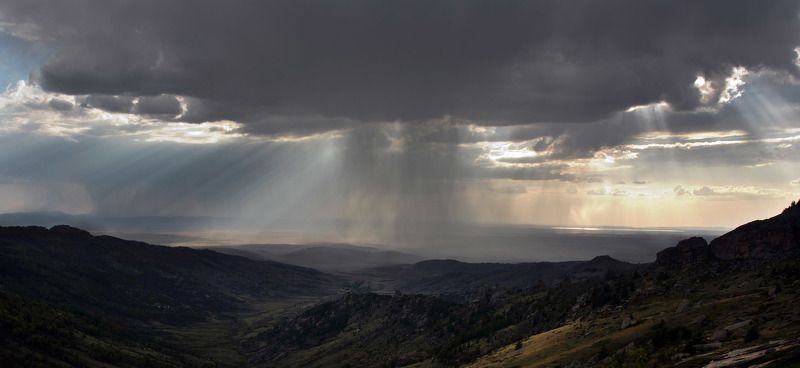 Дождь. фото превью