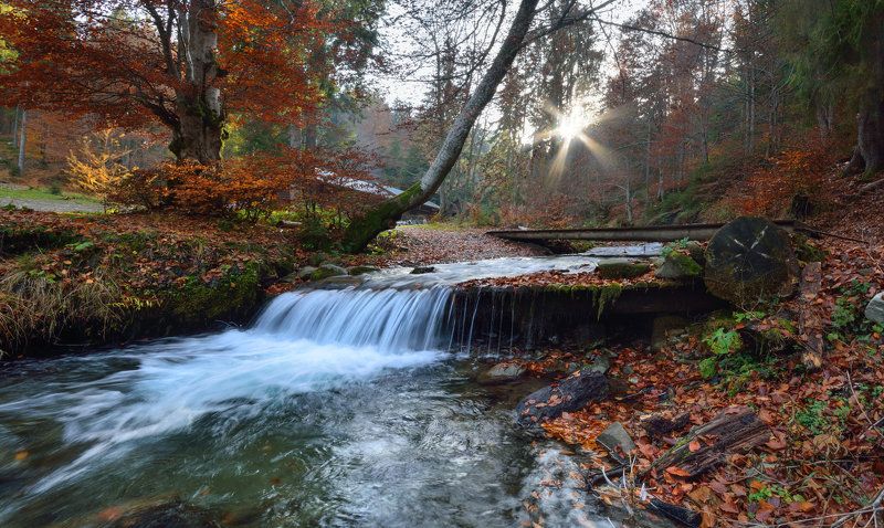 боржава, карпаты, карпати, пилипець, шипот Мелодии октября фото превью