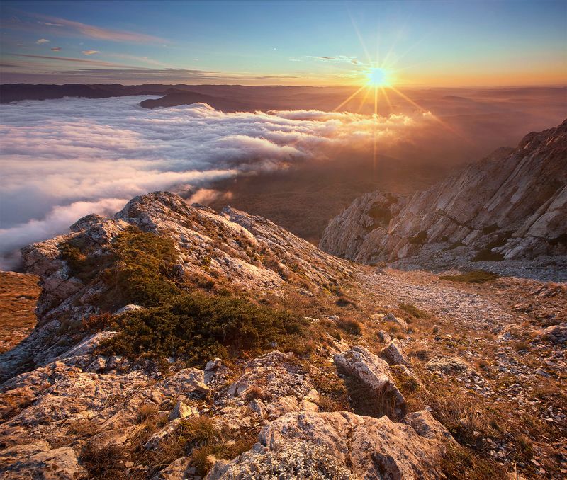 По дороге домой фото превью