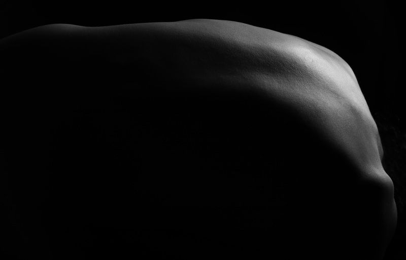 Bodyscapes v.2 & Movement фото превью