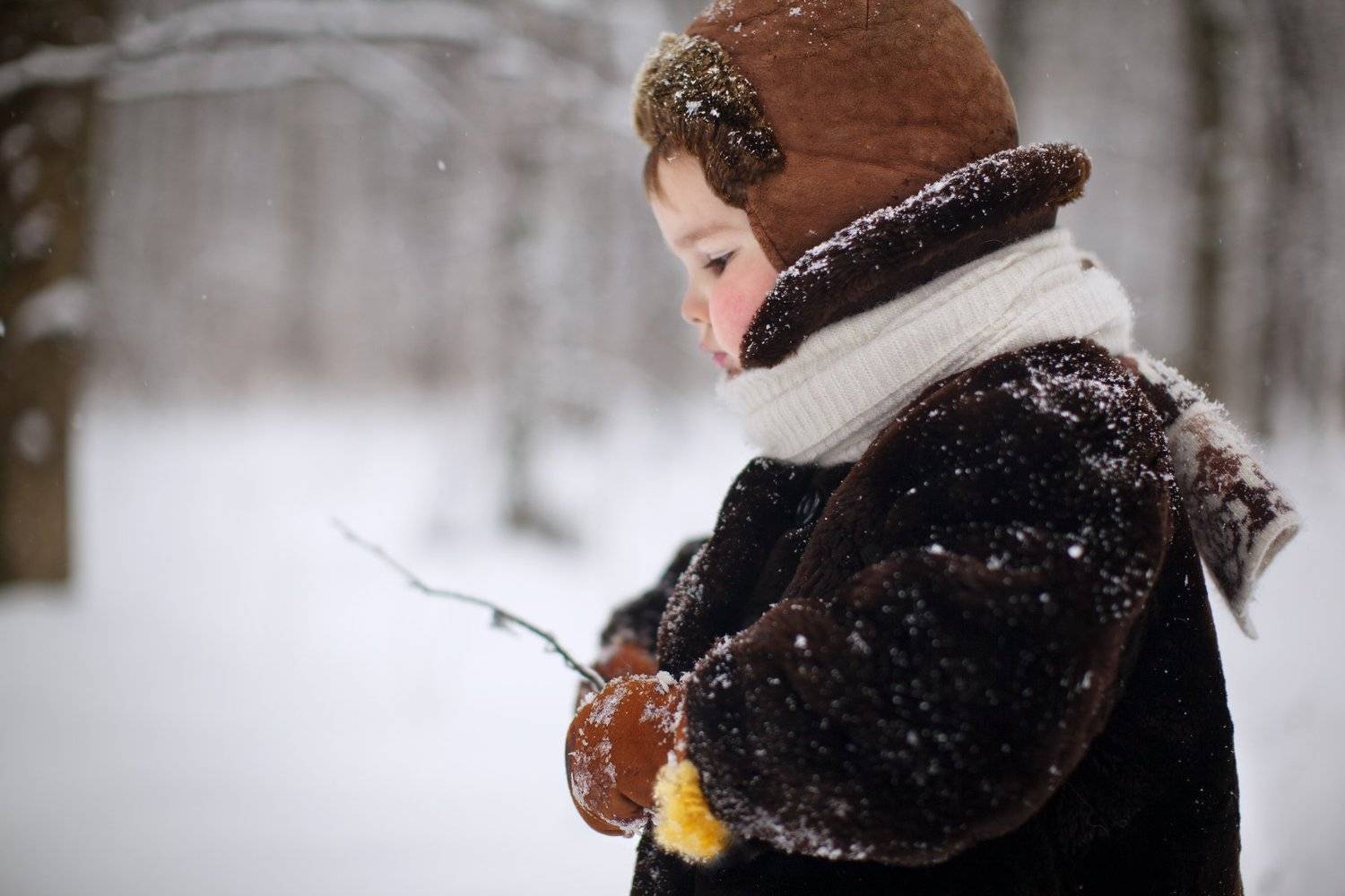 , Коровина Елена