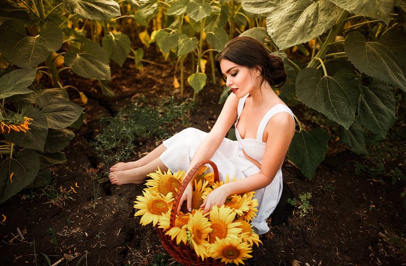 Соняхи фото превью