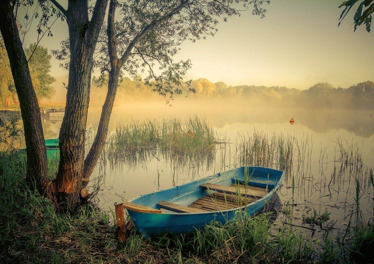 Беларусь, Серж Домбровский