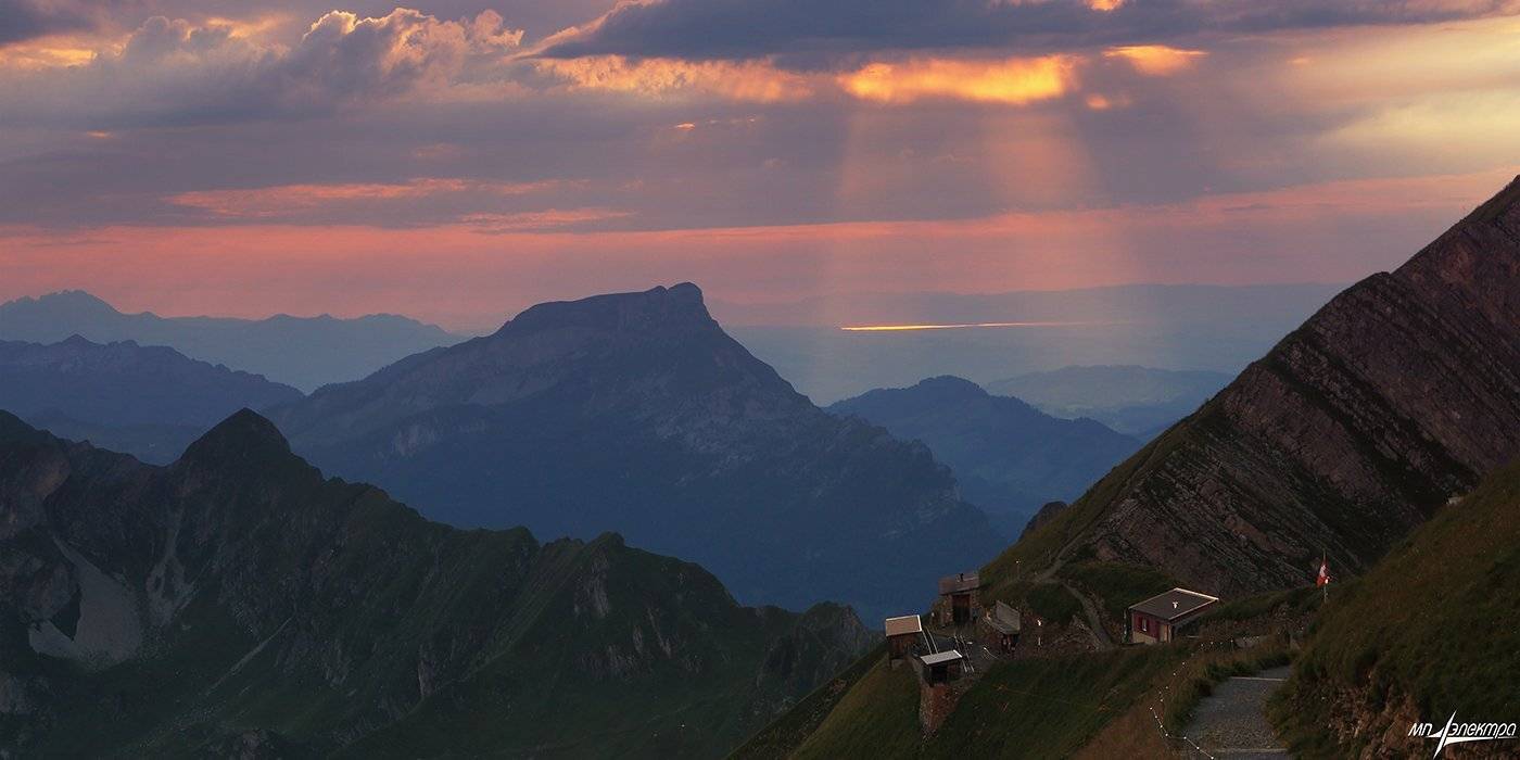 swiss, Матвеев Николай