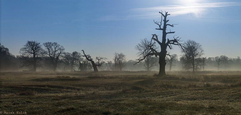 Rogalin Rogalin фото превью