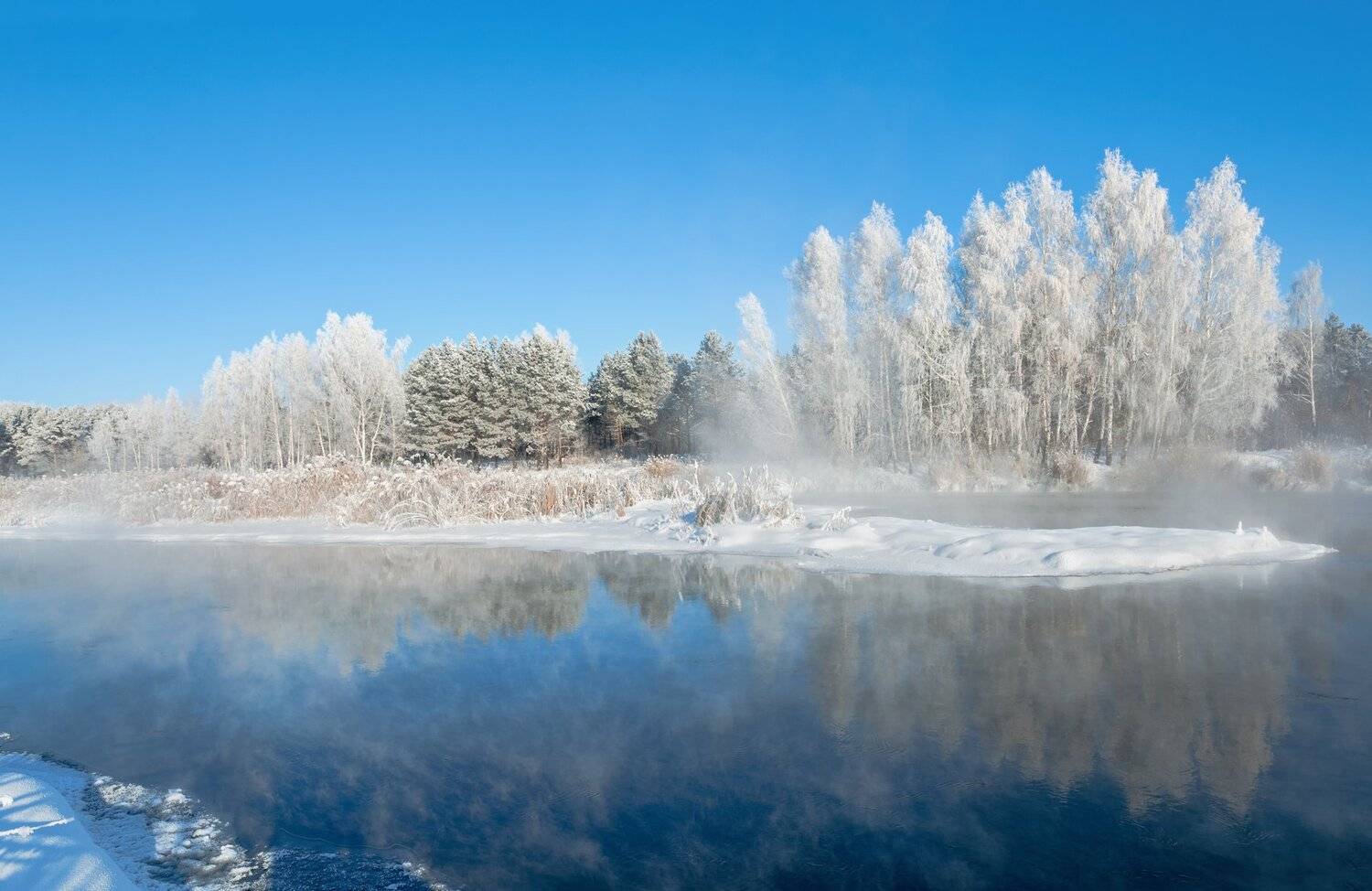 , Олег Богданов