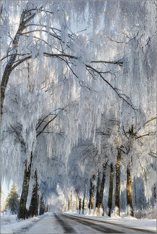 White road фото превью