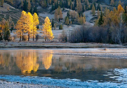 Золотой диптих