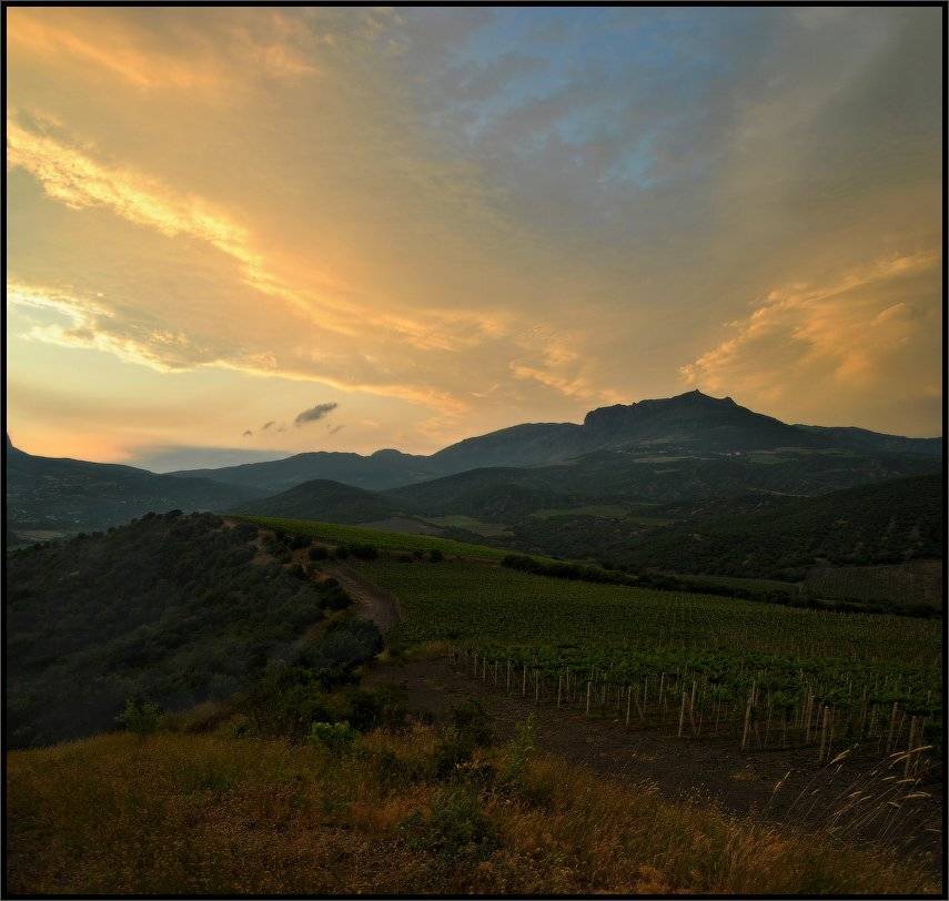 , Владимир Метцгер