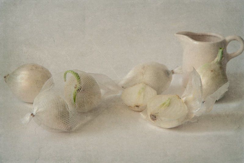 белый лук фото превью