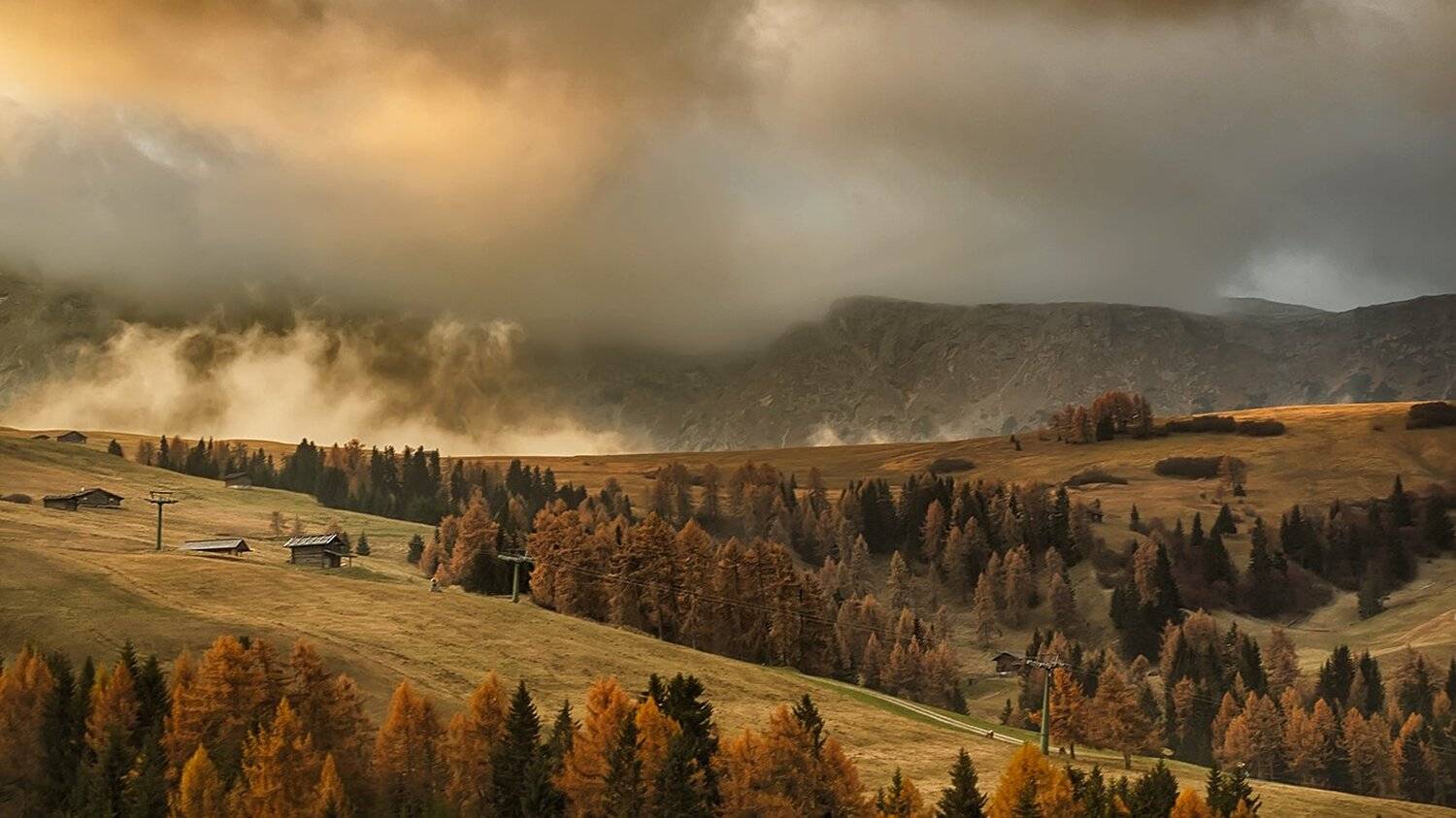 , Игорь Дубровский