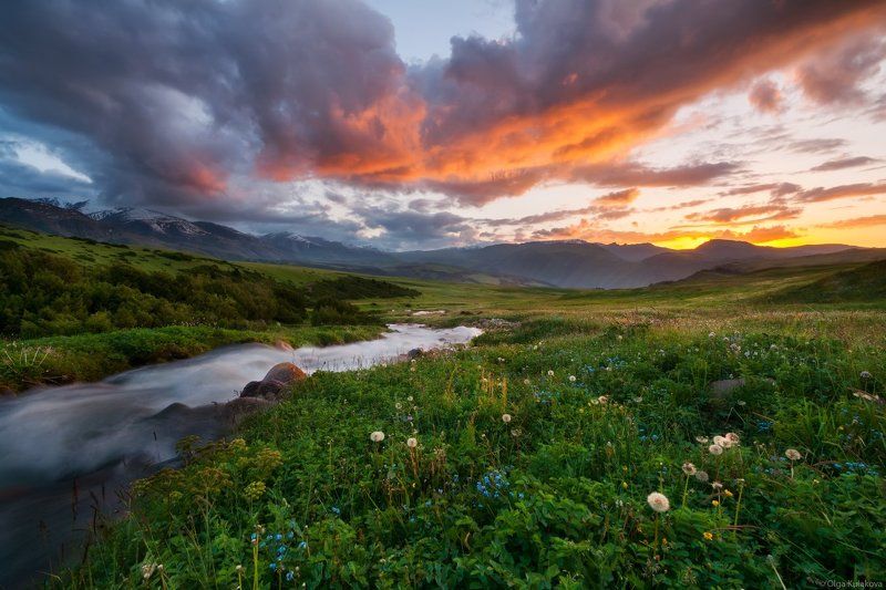 лето, вечер, тургень, бартугуль Летний вечер фото превью