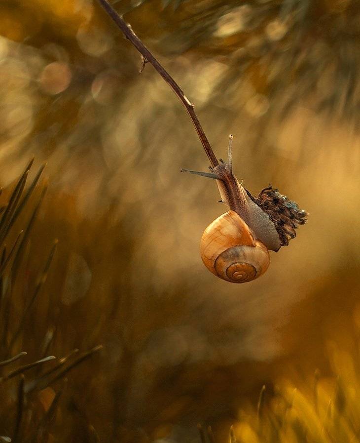 , Pawel Plucinski