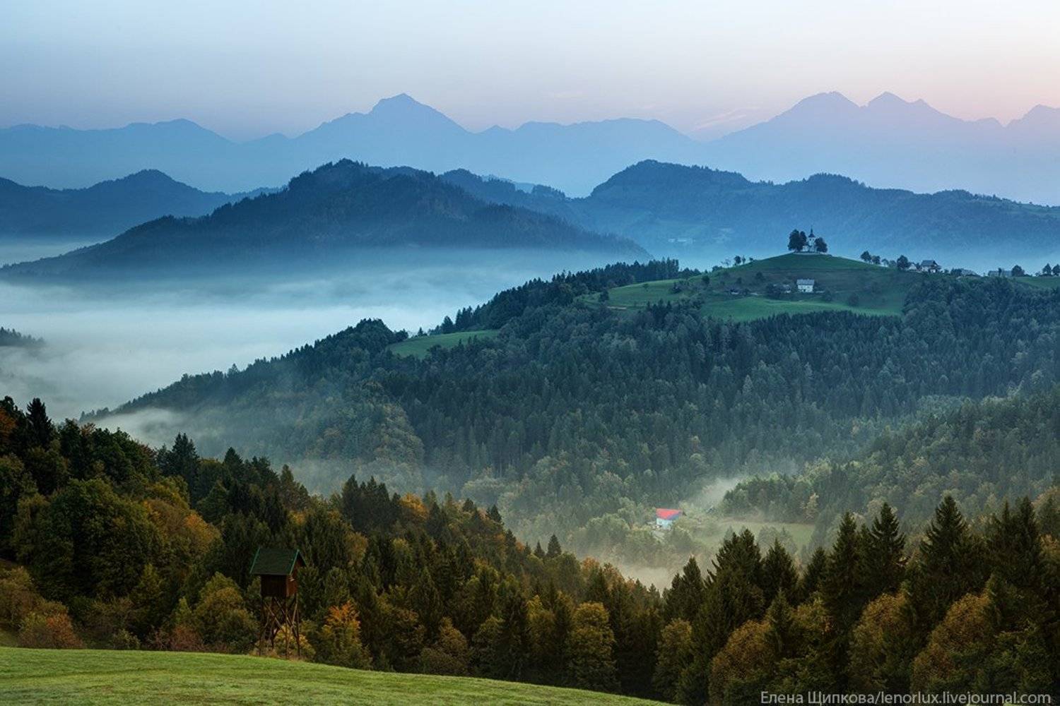 , Щипкова Елена