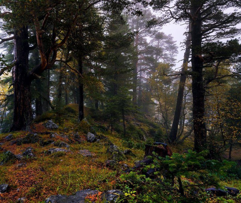 Осенние туманы Архыза фото превью