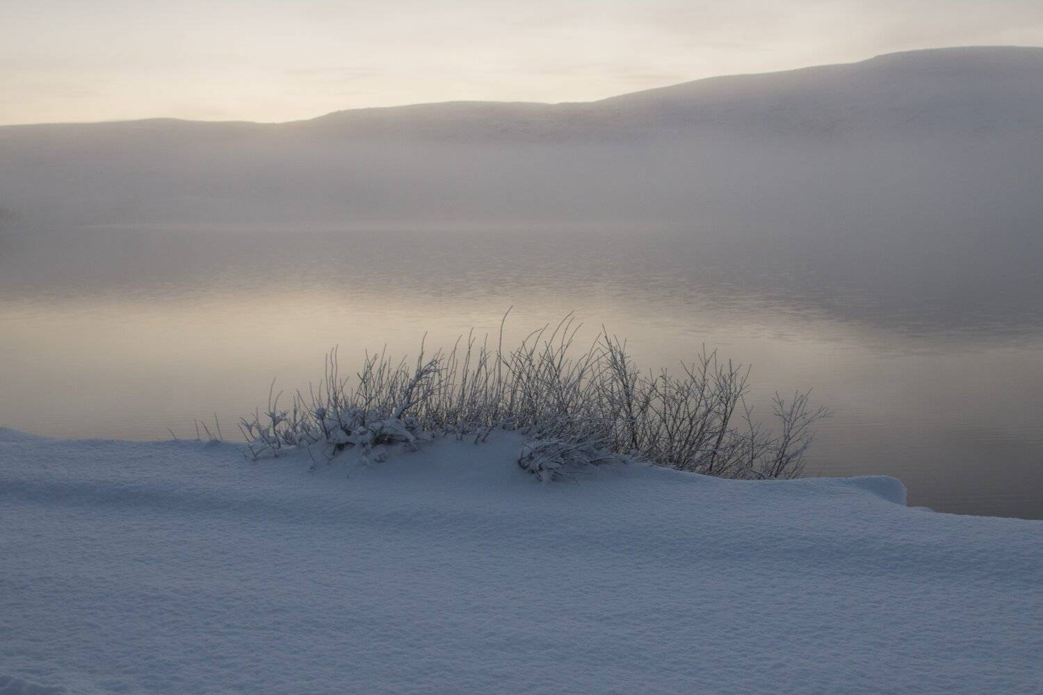 териберка, Ирина