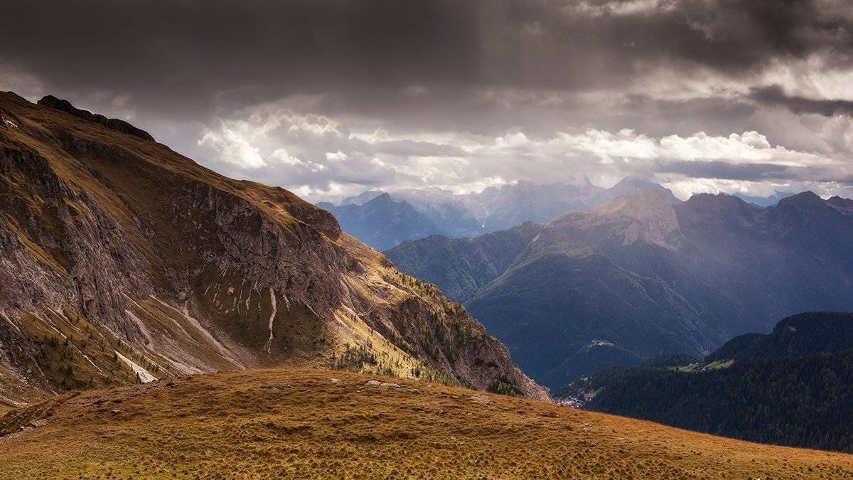 , Света  Черникова