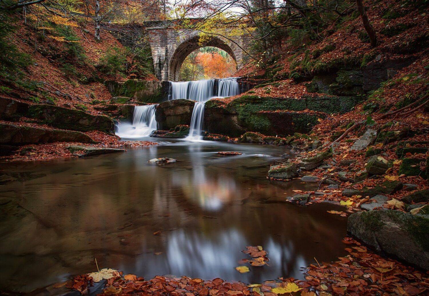 , Костадин Маджаров