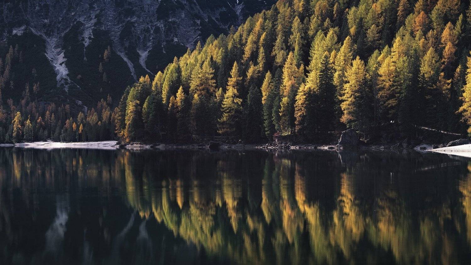 , Дмитрий Купрацевич