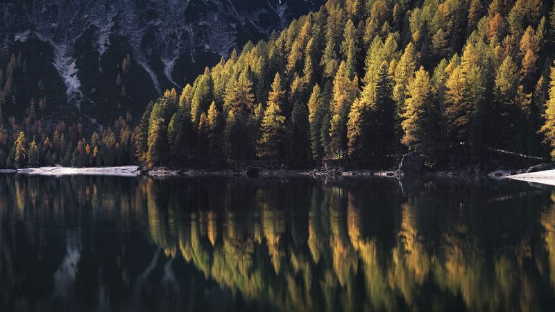 Осенняя симметрия фото превью