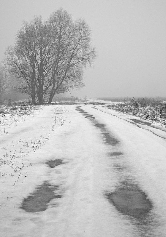 оттепель Оттепель фото превью