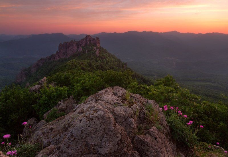 Индюк засыпает фото превью