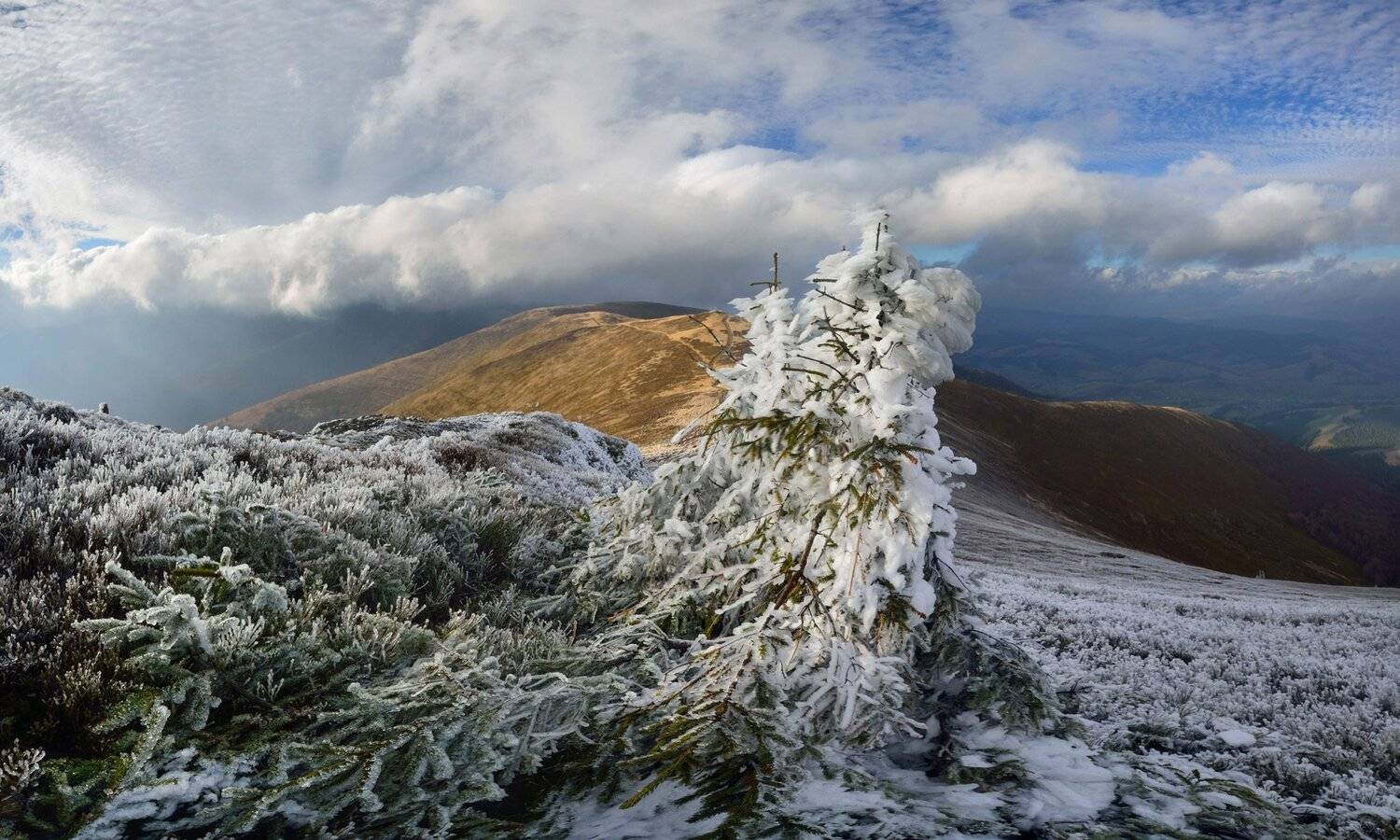 горы, карпати, карпаты, боржава, пилипець, Михаил Маркович