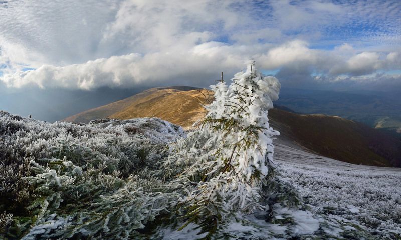горы, карпати, карпаты, боржава, пилипець Межсезонье фото превью