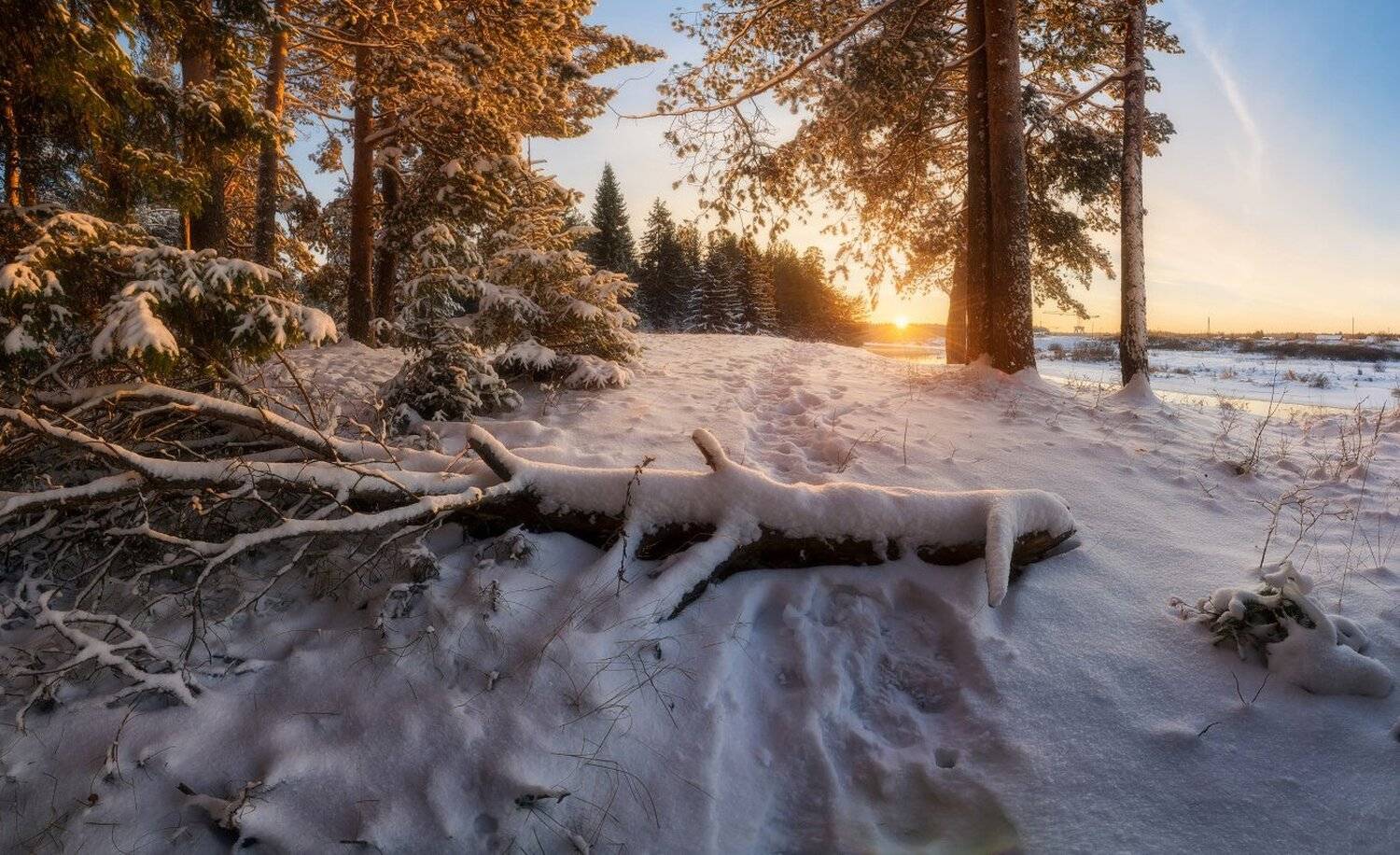 , Устюжанин Михаил