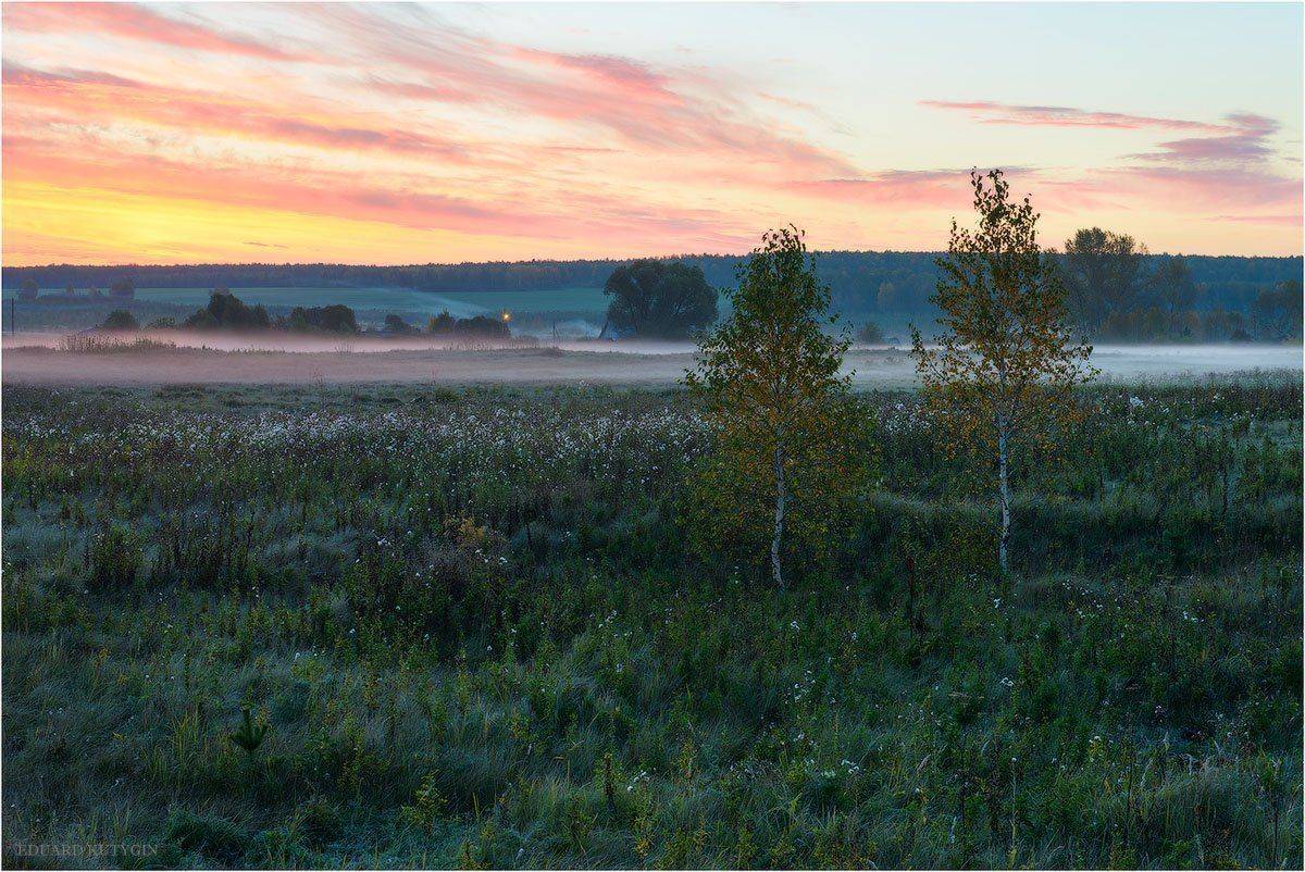 зауралье,урал,курганская,осень,рассвет,шадринский,район,шадринск,ельничная, Ельничное, Кутыгин, фотограф, Кутыгин Эдуард