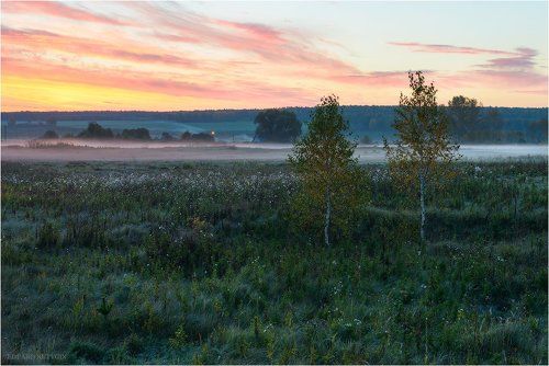 Предрассветная