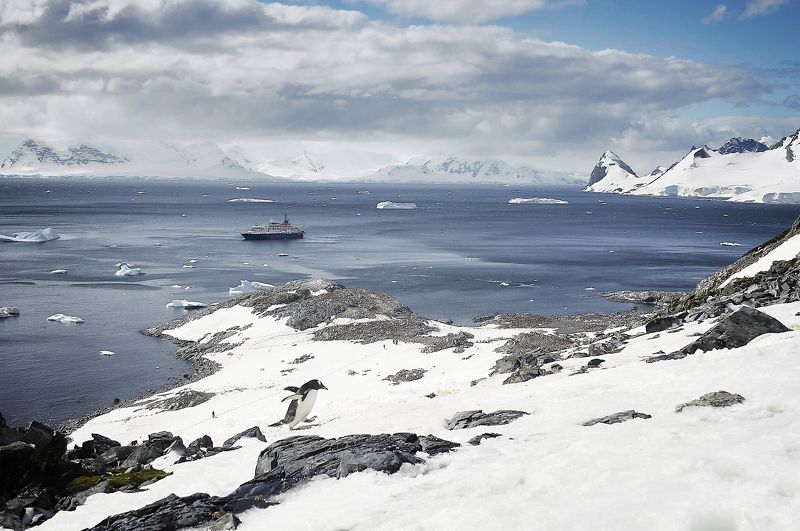 Антарктида, пингвин, гора, снег, океан, айсберг, корабль, облака, небо Царь горы фото превью