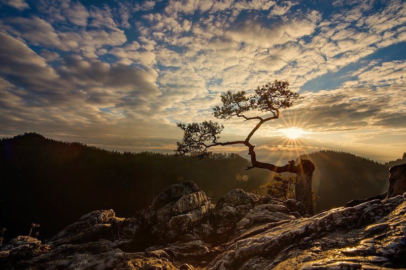 Sokolica фото превью
