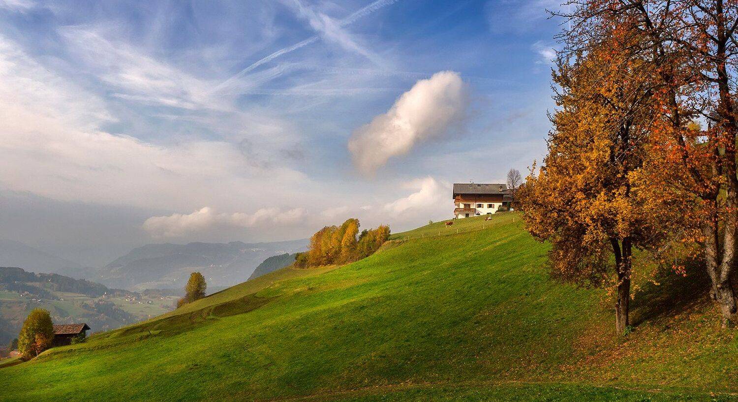 , Игорь Дубровский