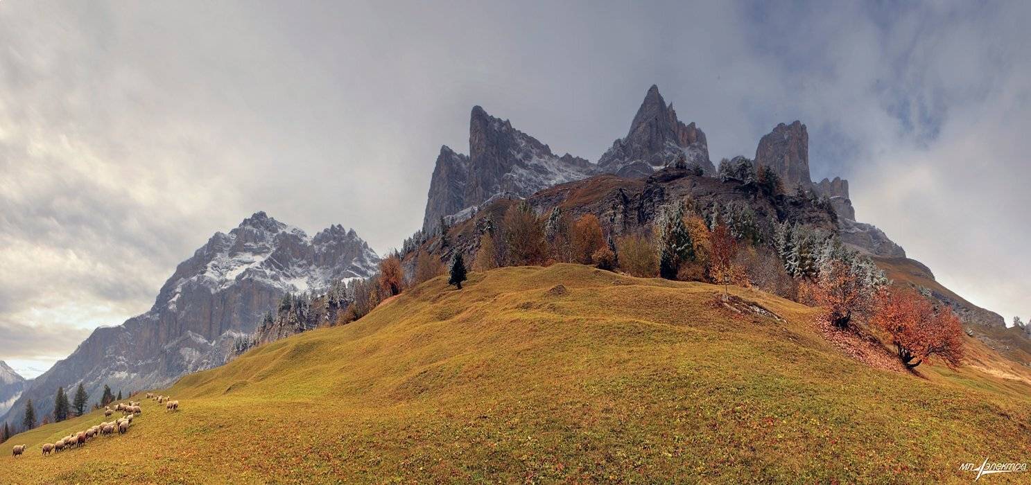 swiss, Матвеев Николай